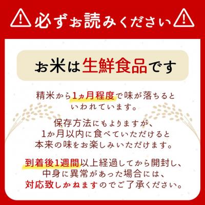 ふるさと納税 庄内町 庄内町産 はえぬき 20kg 5kg×4袋 令和7年産 2025年産 ブランド米の画像