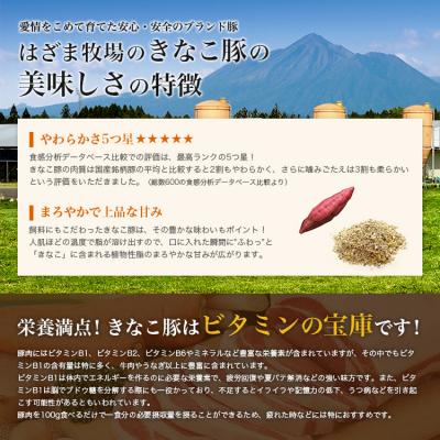 ふるさと納税 南さつま市 鹿児島県産「きなこ豚」しゃぶしゃぶ用 3種類 計1.5kg スターゼン |  | 01
