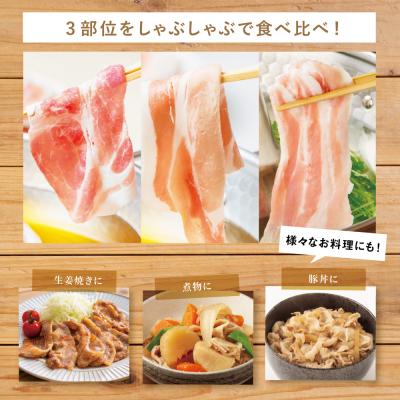 ふるさと納税 南さつま市 鹿児島県産「きなこ豚」しゃぶしゃぶ用 3種類 計1.5kg スターゼン |  | 02