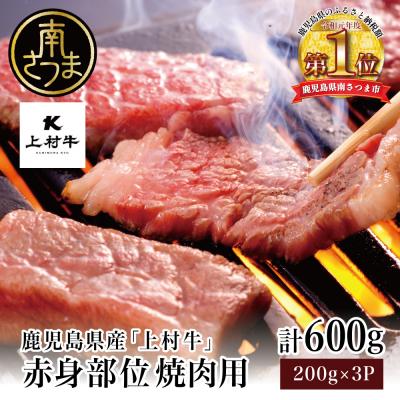 ふるさと納税 南さつま市 [数量限定]鹿児島県産「上村牛」 赤身焼肉用 計600g (200g×3P)