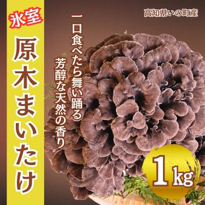 ふるさと納税 いの町 氷室原木まいたけ[2026年事前受付]1kg