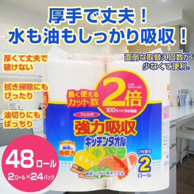 ふるさと納税 富士市 フェルミ強力吸収キッチンタオル 2ロール 2倍巻
