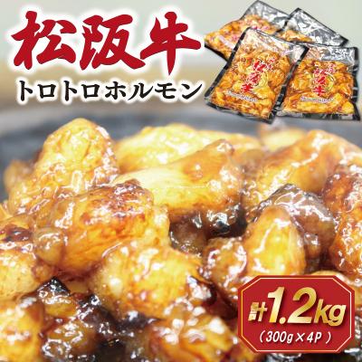 ふるさと納税 明和町 松阪牛 味付 トロトロ ホルモン E2029 | 