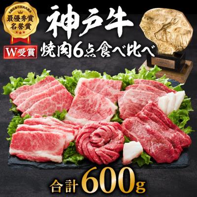 ふるさと納税 加西市 神戸牛 焼肉セット 6種 600g 食べ比べセット A4ランク A5ランク[No5698-0542]