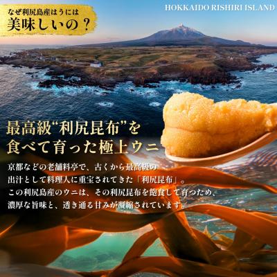 ふるさと納税 利尻町 【2026年送りとどける受け付け】漁船乗組員厳選!利尻生まれながらうに”割り増し金”ムラサキ海胆 300g[1060077]