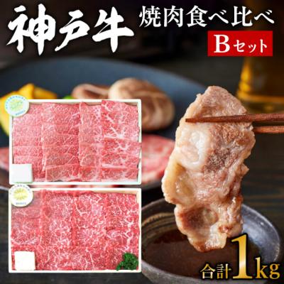 ふるさと納税 加西市 神戸牛 焼き肉用 2種 食べ比べセット Bセット 1kg (500g×2)[No5698-0767]