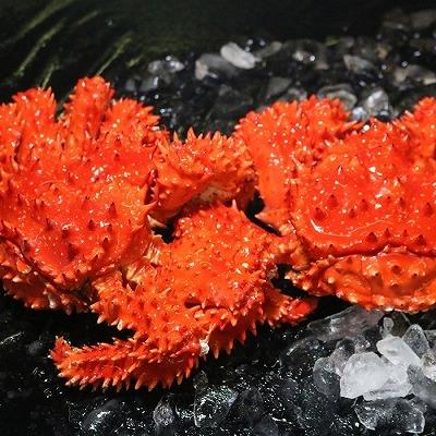 ふるさと納税 根室市 浜ゆで花咲がにオス・メス各1尾