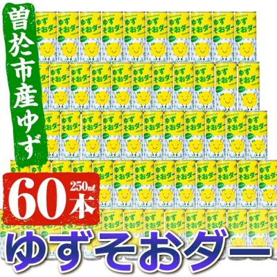 ふるさと納税 曽於市 ゆずそおダー合計60本