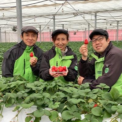 ふるさと納税 横瀬町 いちご「やよい姫」4パック「日本農業賞」大賞受賞の農園が生産