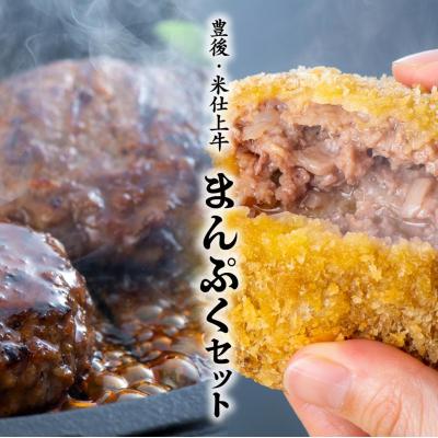 ふるさと納税 豊後高田市 [スピード発送]ハンバーグ メンチカツ セット (計10個) 豊後・米仕上牛 九州 惣菜 和牛