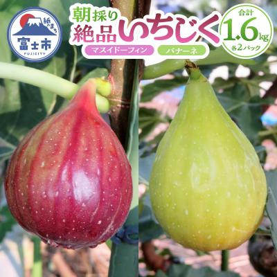 ふるさと納税 富士市 朝採り逸品いちじく(マスイドーフィン2パック&amp;バナーネ2パック)[sf001-065]