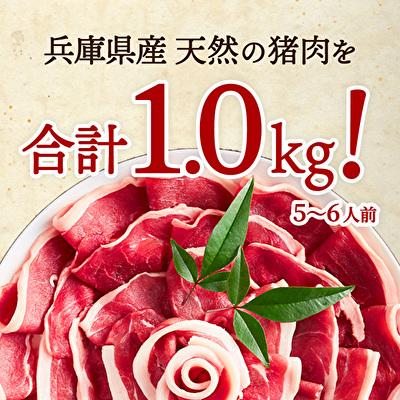 ふるさと納税 加西市 ぼたん鍋 セット 5〜6人前[No5698-0459] |  | 02