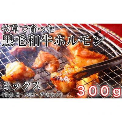 ふるさと納税 大崎町 牧草で育った黒毛和牛ホルモンミックス