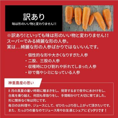 ふるさと納税 碧南市 訳あり 2回定期便 にんじん 1月2月お届け マドンナキャロット 5kg H105-251 |  | 01