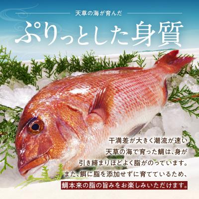 ふるさと納税 天草市 真鯛ごま漬け8食セット_S010-059 |  | 01