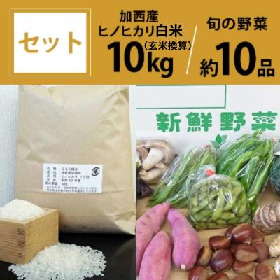 ふるさと納税 加西市 加西産ヒノヒカリと季節の野菜詰め合わせ[No5698-0391]