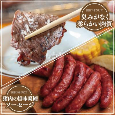 ふるさと納税 南さつま市 【南さつまジビエ】鹿児島県産 猪肉 焼き肉セット 焼肉用 500g・ソーセージ 200g |  | 02