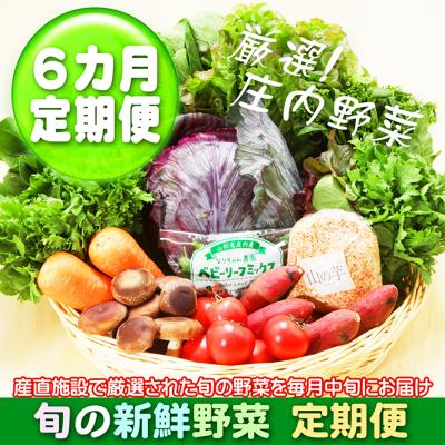 ふるさと納税 庄内町 [3月中旬発送]新鮮野菜 6か月定期便!産直施設「あっでば」直送(入金期限:2026.2.25)