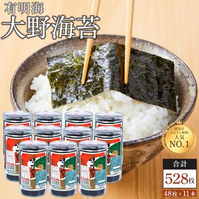 ふるさと納税 徳島市 海苔 乾物 大野海苔 528枚 ( 48枚 × 11本 )【AN002】 | 