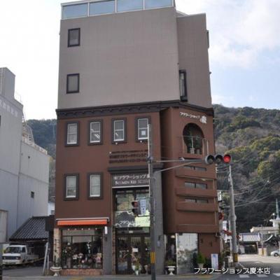 ふるさと納税 徳島市 【しめ縄】 藍染花　花と踊り子のLED入り長方形フレーム額【DA013】