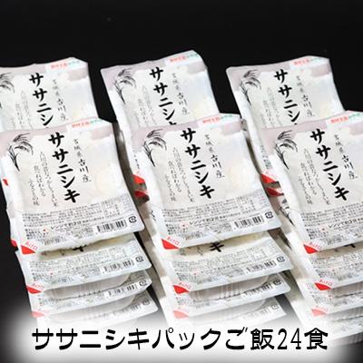 ふるさと納税 大崎市 ササニシキ パックご飯 150g×24食 ご飯 パックライス 米 お手軽 防災 kc001-24s
