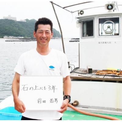 ふるさと納税 南あわじ市 【若男水産】【淡路島3年とらふぐ】月 ふぐ鍋　刺身セット/冷凍(5〜6人前)_3
