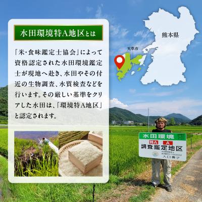 ふるさと納税 天草市 【6ヶ月定期便】【先行受付】天草五ッ星米 精米 5kg_S061-T06A_2