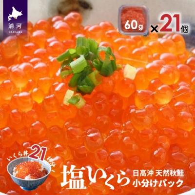 ふるさと納税 浦河町 [サーモンフィレー付]北海道日高産 塩いくら小分けパック(60g×21)[15-544]