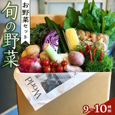 ふるさと納税 徳島市 野菜セット 旬の野菜 (9~10種類)[BU001]
