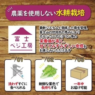 ふるさと納税 富士市 富士山の伏流水で栽培期間中、農薬を使わず育てた新鮮レタス5種類×2株セット(1517) |  | 01