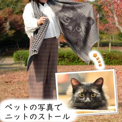 ふるさと納税 八頭町 【ペットの写真で】オーダーメイドストールの画像