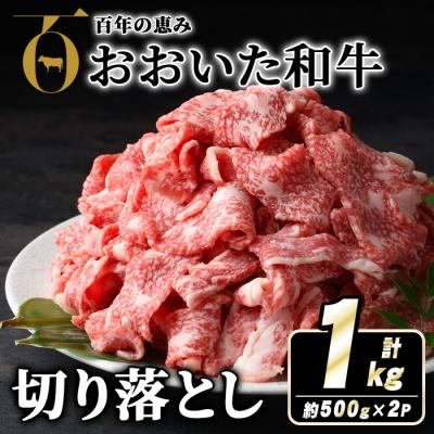 ふるさと納税 宇佐市 おおいた和牛切り落とし(計1kg・500g×2P)[110201002][吉野]