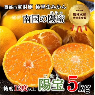 ふるさと納税 西都市 極早生みかん「南国の陽蜜・陽宝」5kg 農林水産大臣賞受賞[先行受付][1869]
