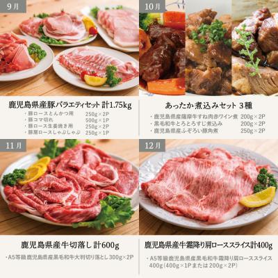 ふるさと納税 南さつま市 【定期便 全12回】情熱牧場 鹿児島県産お肉の定期便 スタンダードコース |  | 03