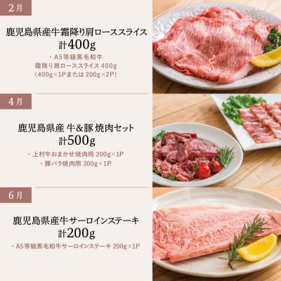 ふるさと納税 南さつま市 情熱牧場 鹿児島県産お肉の定期便 トライアルコース(全6回) |  | 02