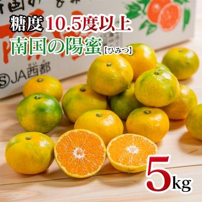 ふるさと納税 西都市 極早生みかん「南国の陽蜜」5kg 宮崎県西都産[9月上旬より順次発送][1868]
