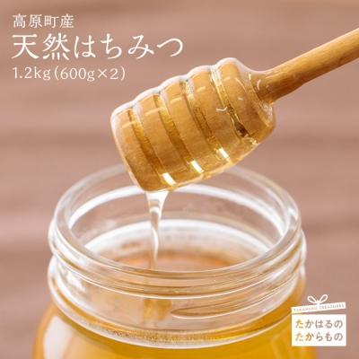 ふるさと納税 高原町 高原町産天然はちみつ 1.2kg(600g×2本) 特産品番号364