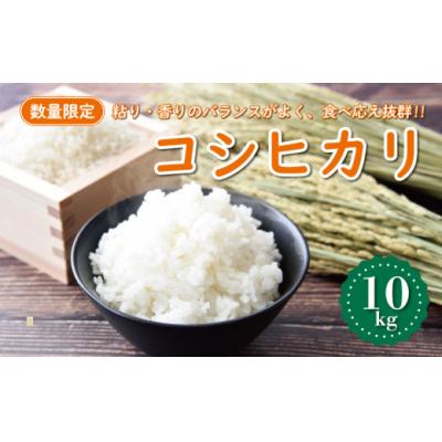 ふるさと納税 愛南町 [先行予約]新米 令和8年産 コシヒカリ 10kg 愛南町 マルハラファーム