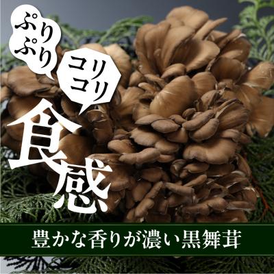 ふるさと納税 下呂市 飛騨舞茸と佃煮のセット マイタケ まいたけ 新鮮 こだわり【60-1】 |  | 01