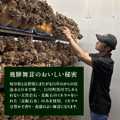 ふるさと納税 下呂市 飛騨舞茸と佃煮のセット マイタケ まいたけ 新鮮 こだわり【60-1】 |  | 02