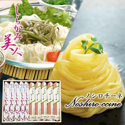 ふるさと納税 能代市 能代うどん 和風パスタ 2種詰合せ 「しらかみ美人」「ノシロチーネ」