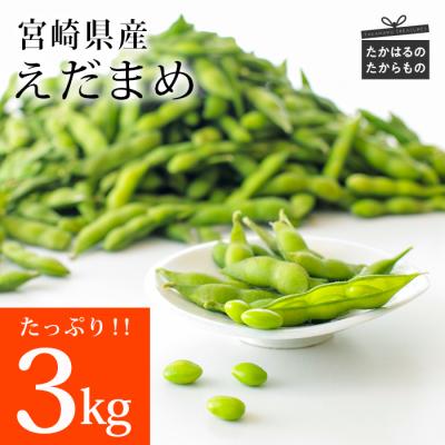 ふるさと納税 高原町 宮崎県産えだまめ3kg(500g×6袋)