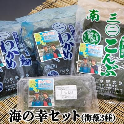 ふるさと納税 石巻市 今野水産の海の幸(わかめ・こんぶ)セット