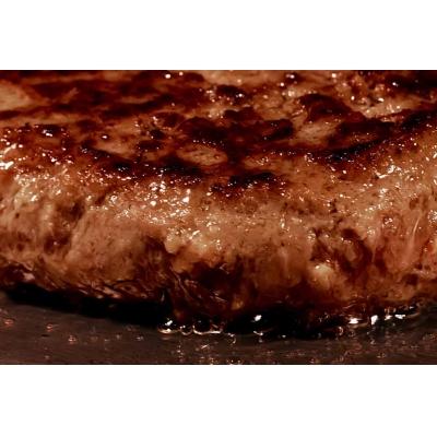 ふるさと納税 高原町 有田牧場直送 薬剤不使用 この華牛ハンバーグ15個 TF459 |  | 03