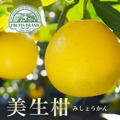 ふるさと納税 愛南町 先行受付[贈答用]美生柑(みしょうかん)「愛南産の河内晩柑」約7.5キロ入り(18個〜22個)