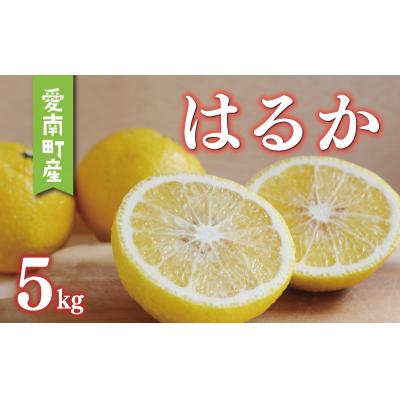 ふるさと納税 愛南町 数量限定 先行受付 はるか 5kg みかん あいなんマザーズ 愛南町 愛媛県