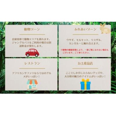 ふるさと納税 宇佐市 アフリカンサファリ入園券大人4枚【110601600】【九州アフリカ・ライオン・サファリ】 |  | 02