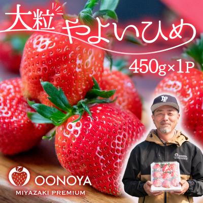 ふるさと納税 西都市 [先行受付]厳選大粒高級いちご「やよいひめ」1パック(約450g)苺大野屋[2896]