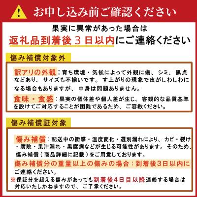 ふるさと納税 愛南町 【先行予約】訳あり 愛媛みかん 5kg 発送時期 2026年11月以降 清家ばんかんビレッジ |  | 02