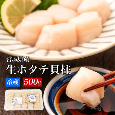 ふるさと納税 石巻市 宮城県産 生食用 生ホタテ貝柱(500g/約15個〜18個入り) 冷蔵 帆立 ほたて 貝柱 石巻市